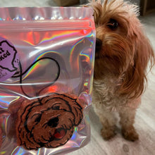 Load image into Gallery viewer, Golden Doodle Freshie